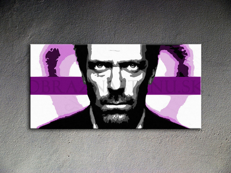 Malovaný POP ART obraz na stěnu Dr. HOUSE