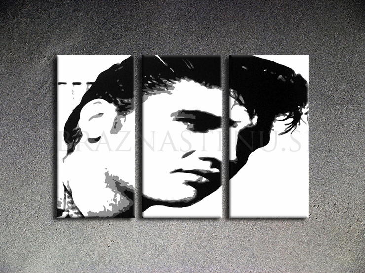 Malovaný POP ART obraz na stěnu ELVIS 