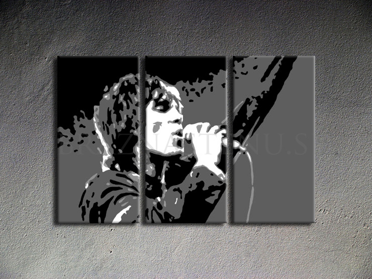 Malovaný POP ART obraz na stěnu Ian Brown 