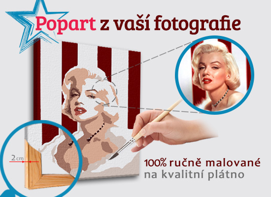 Malovaný POP Art obraz z fotografie - ČTVEREC